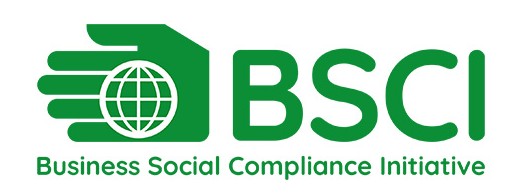 BSCI Logo
